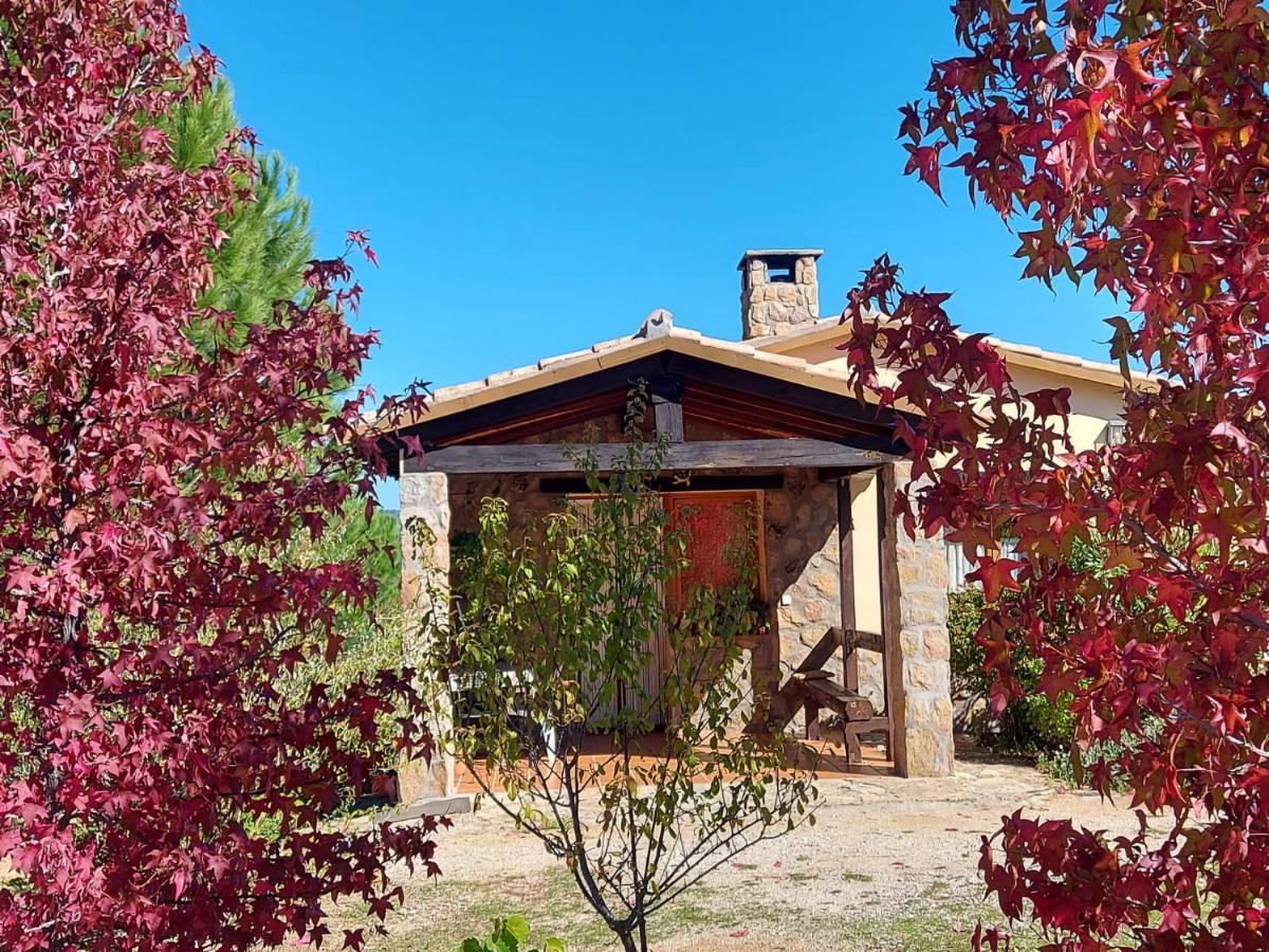 Casa Rural Amarilla Ávila エクステリア 写真