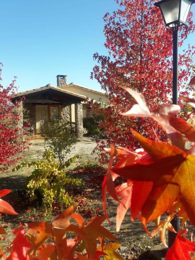 Casa Rural Amarilla Ávila エクステリア 写真